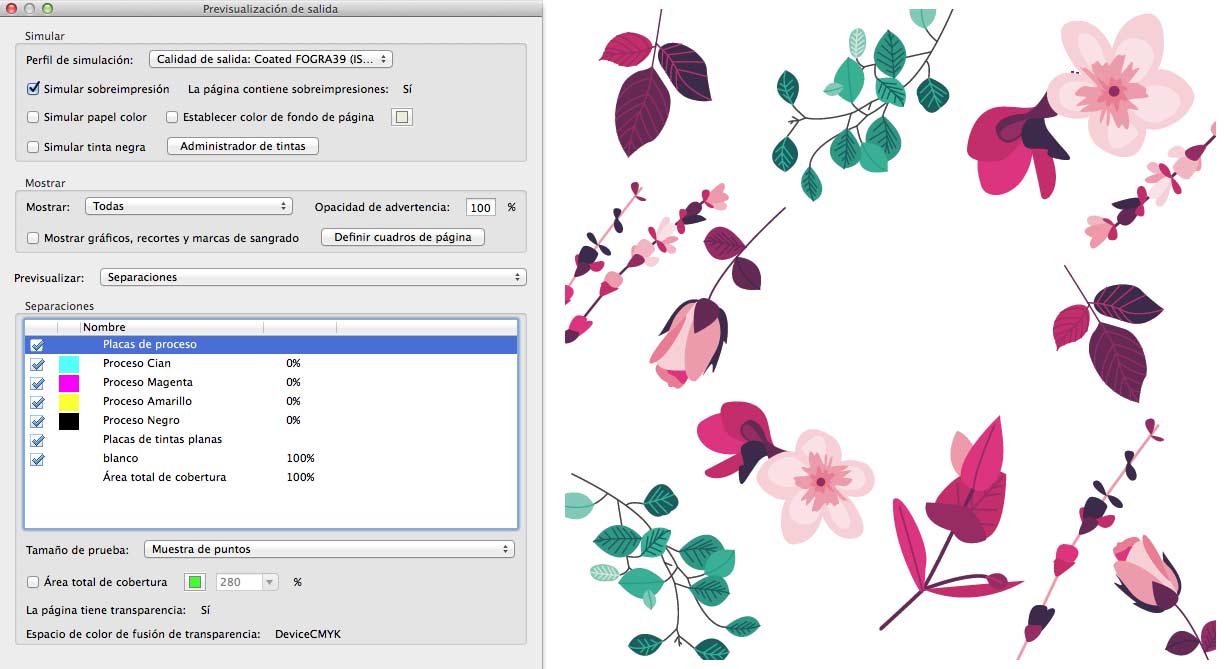 Visualización Adobe PDF| PCG Barcelona