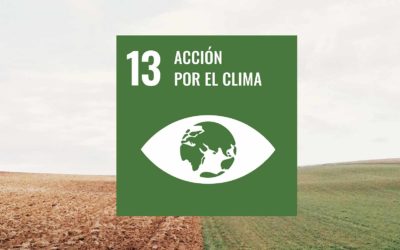 Día de la Tierra: Nuestro compromiso para combatir el cambio climático y sus efectos